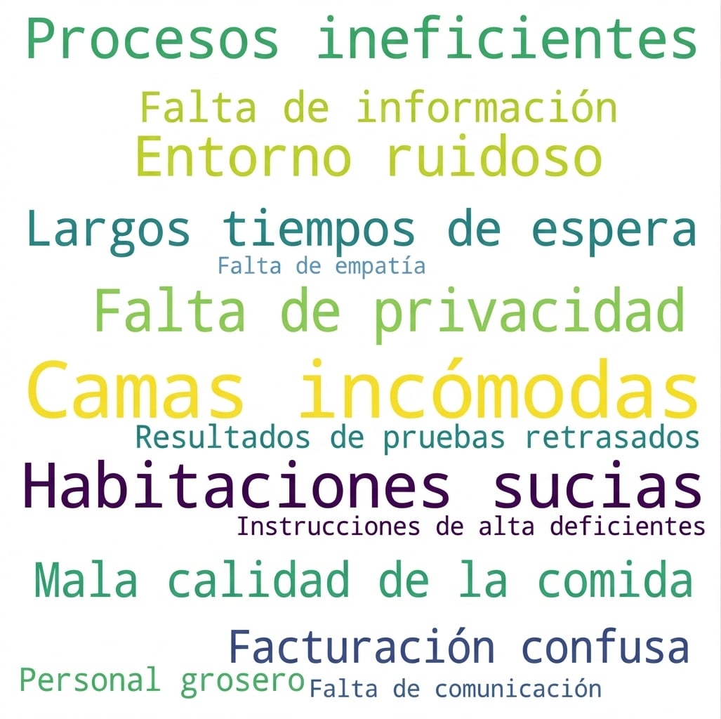 Nube de palabras con quejas de pacientes