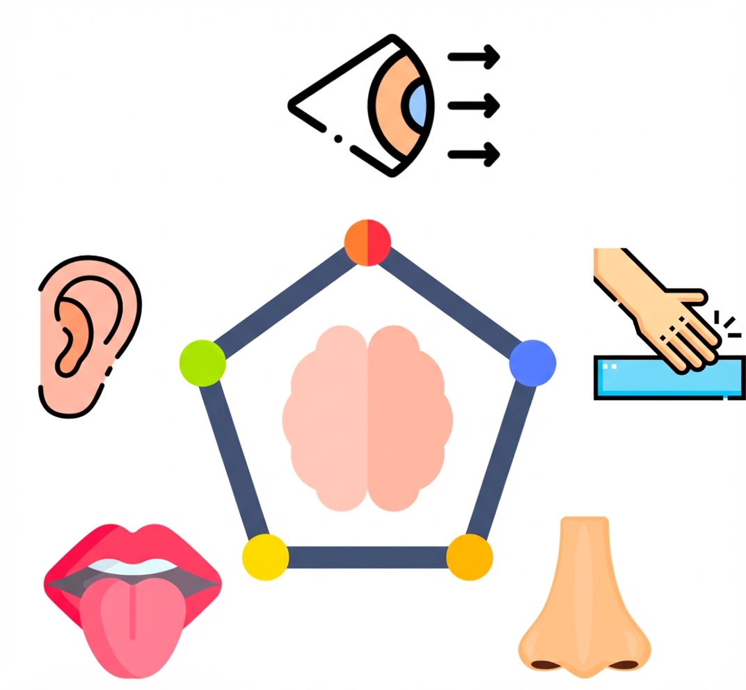 Detección del entorno