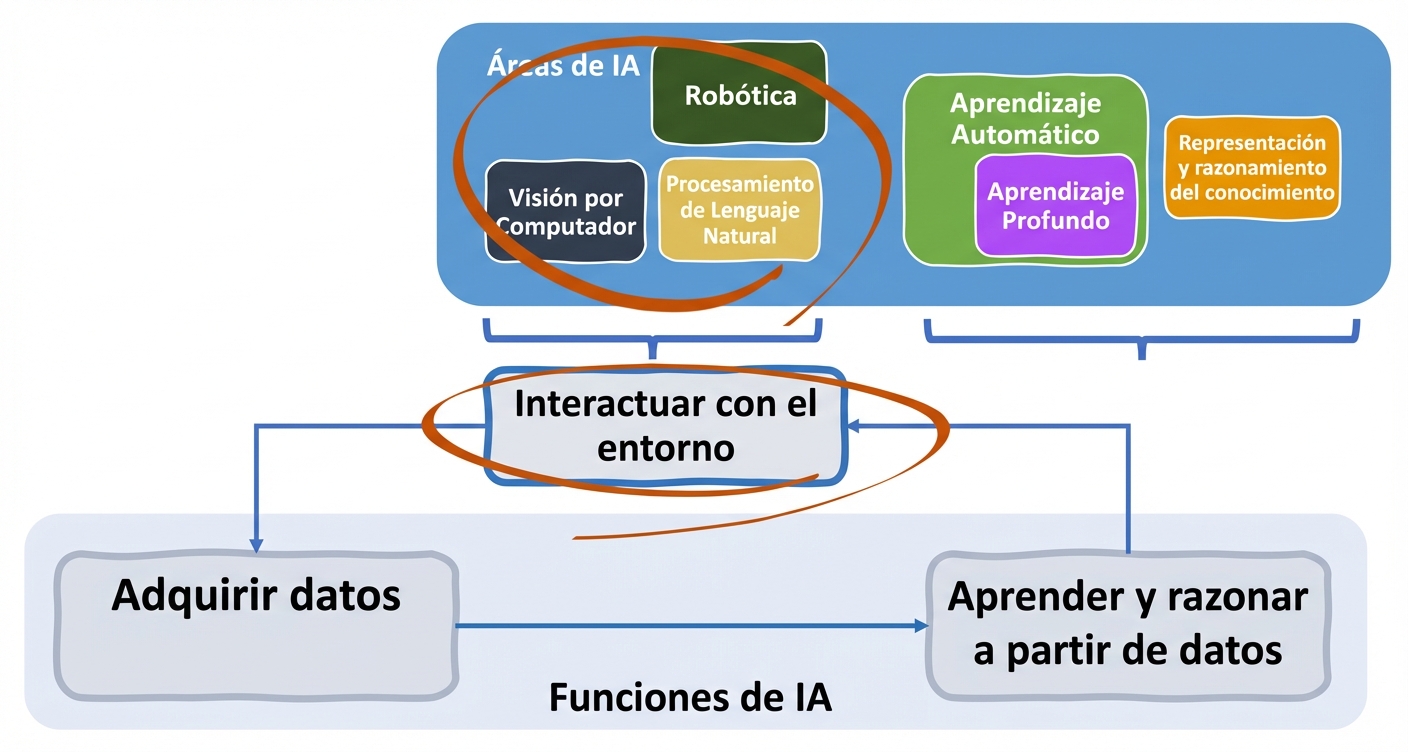 Funciones de la IA y áreas implicadas