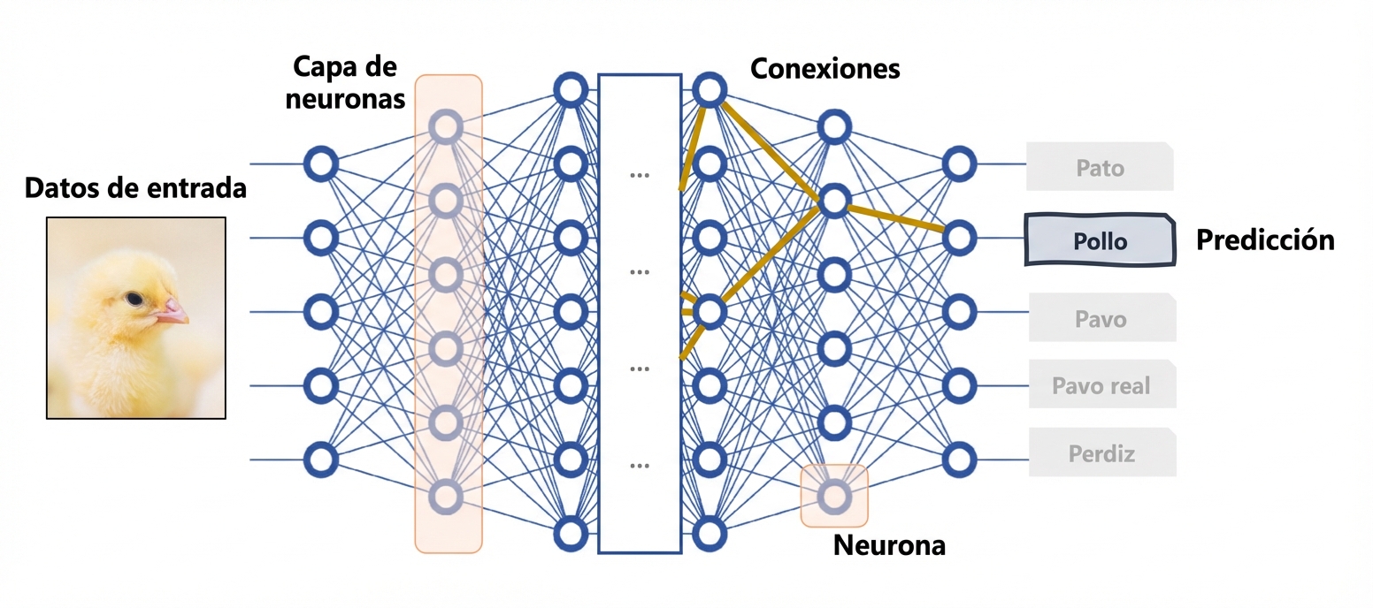 Red neuronal profunda como modelo de caja negra