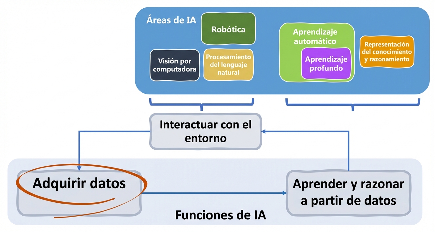 Funciones de la IA y áreas implicadas