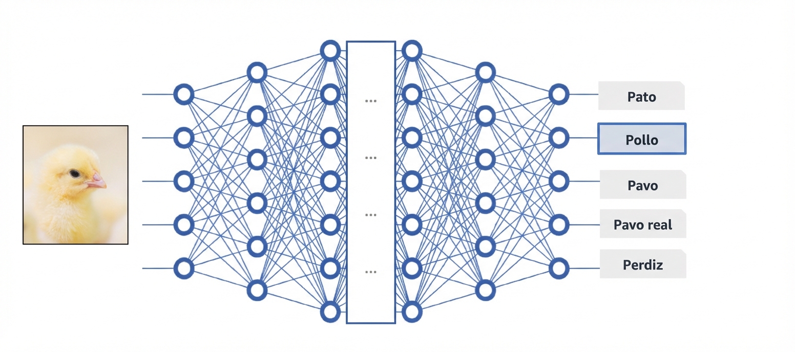 Red neuronal profunda como modelo de caja negra