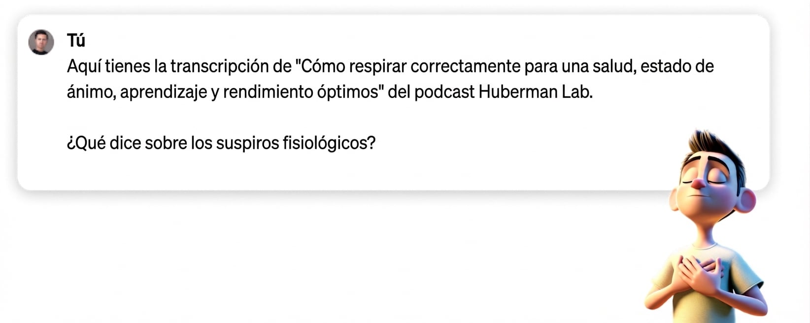 Prompt que pide al chatbot que parafrasee los puntos clave de una transcripción que se le ha proporcionado.