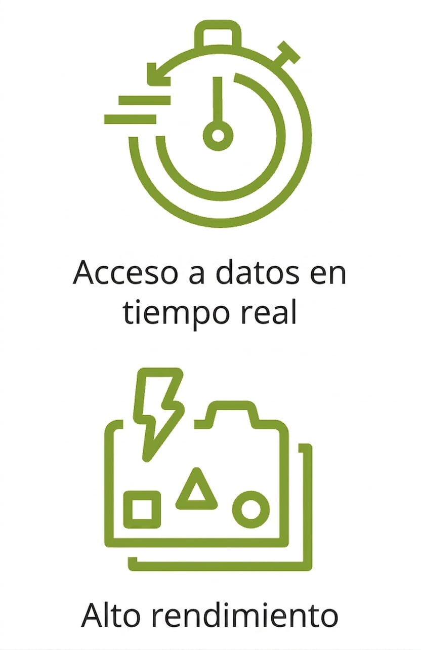 Dos iconos que muestran acceso a datos en tiempo real y alto rendimiento.