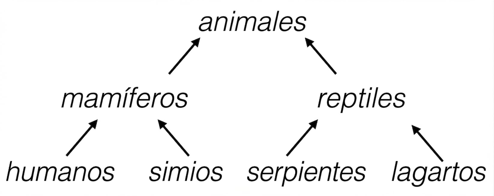 Árbol jerárquico de animales