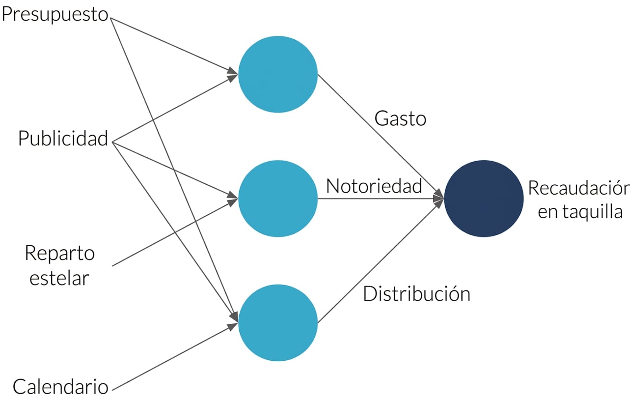 Neural net explanation