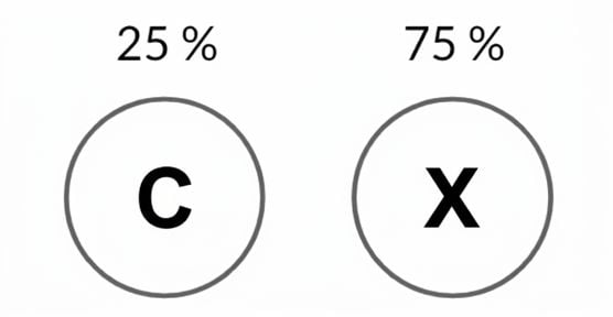 Imagen de cara con una probabilidad del 25 % y cruz con una probabilidad del 75 %