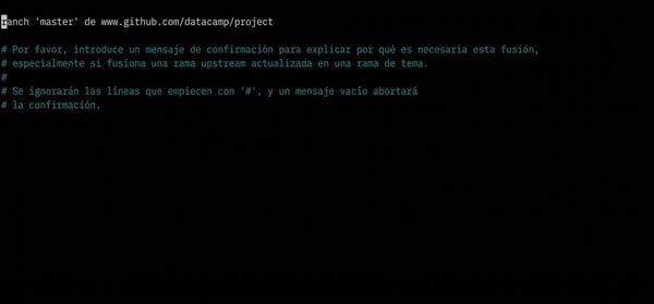 git_pull_nano_editor.gif