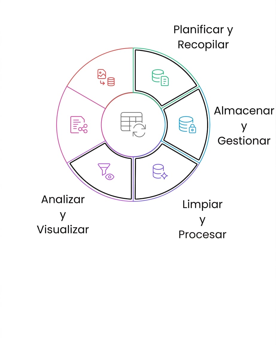 Análisis y visualización del ciclo de vida de los datos
