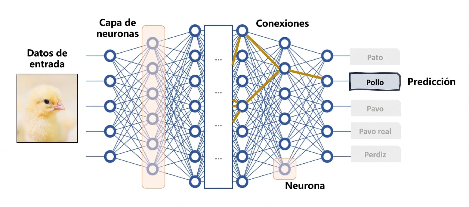 Red neuronal profunda como modelo de caja negra