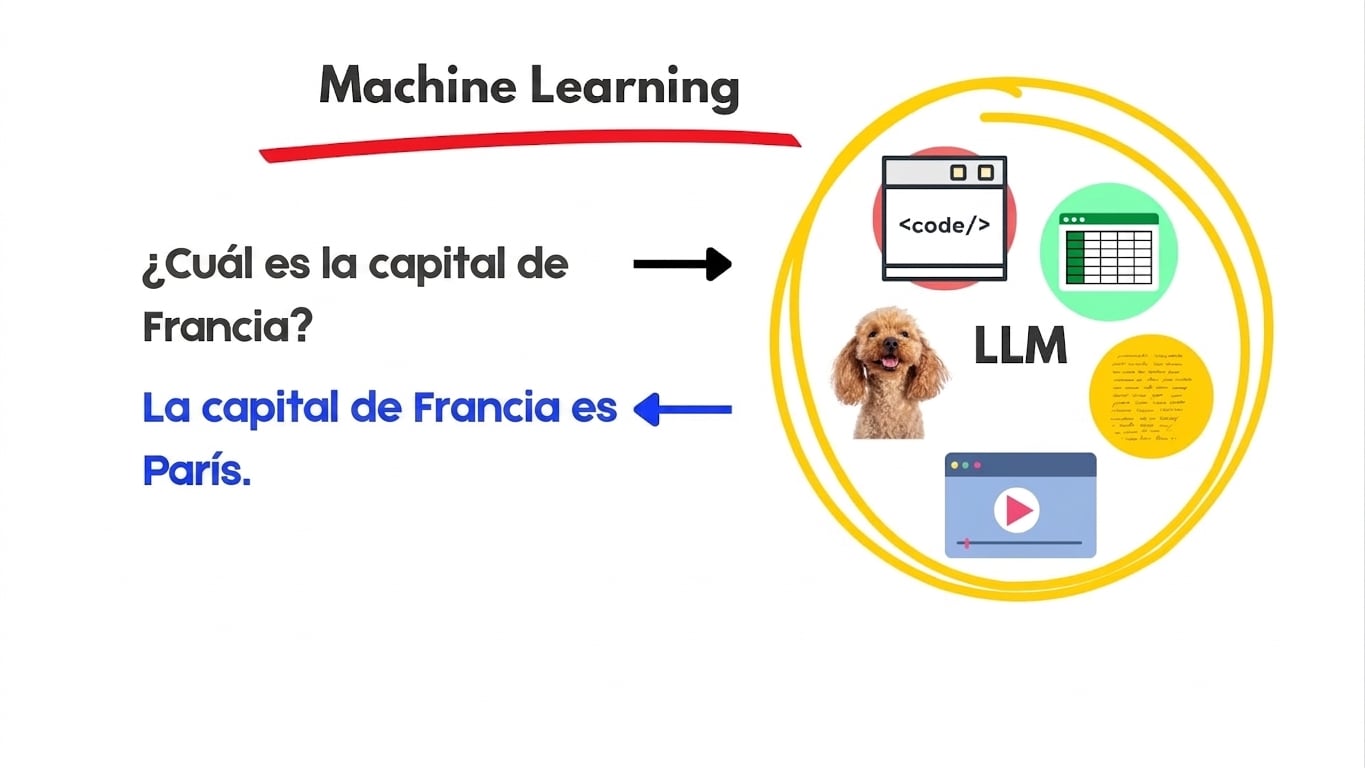 llms8.jpg