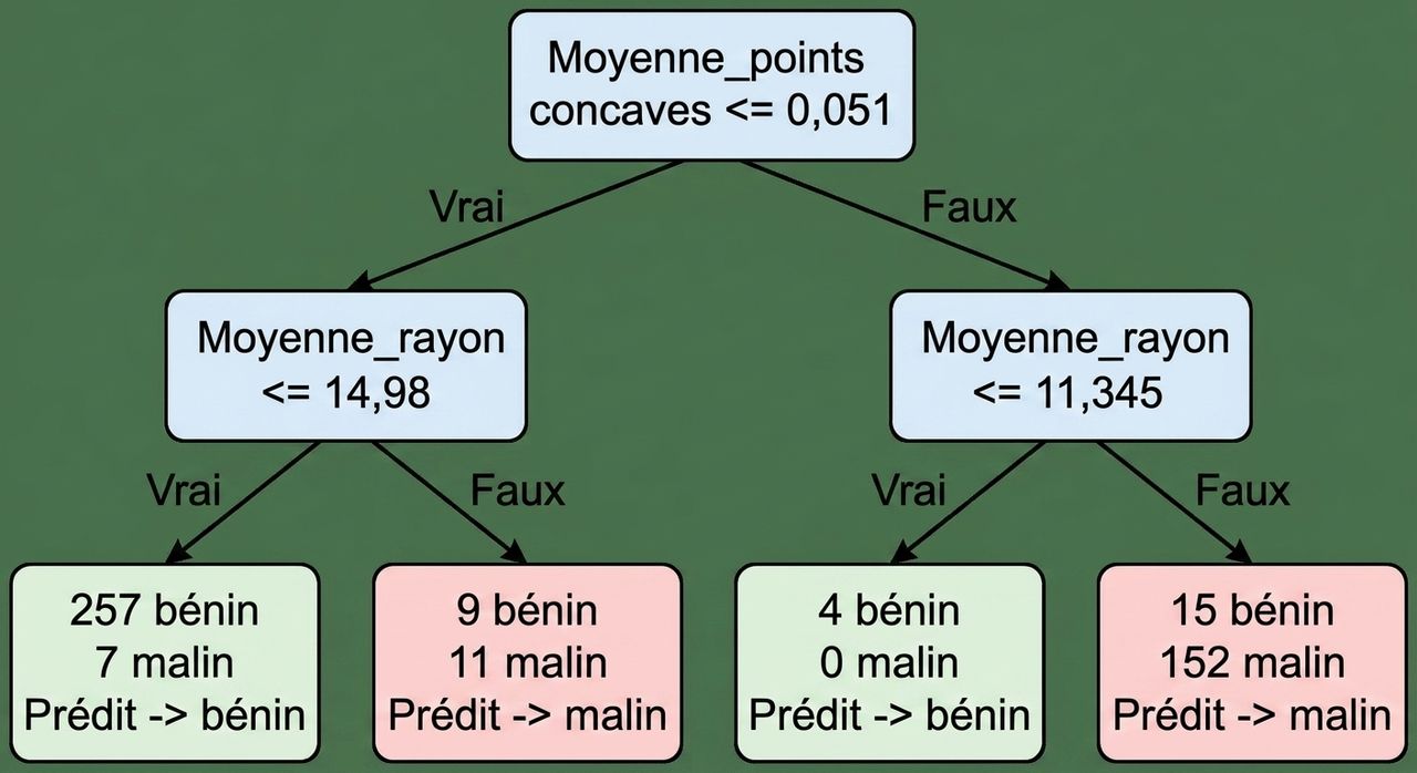 Schéma d'arbre de décision