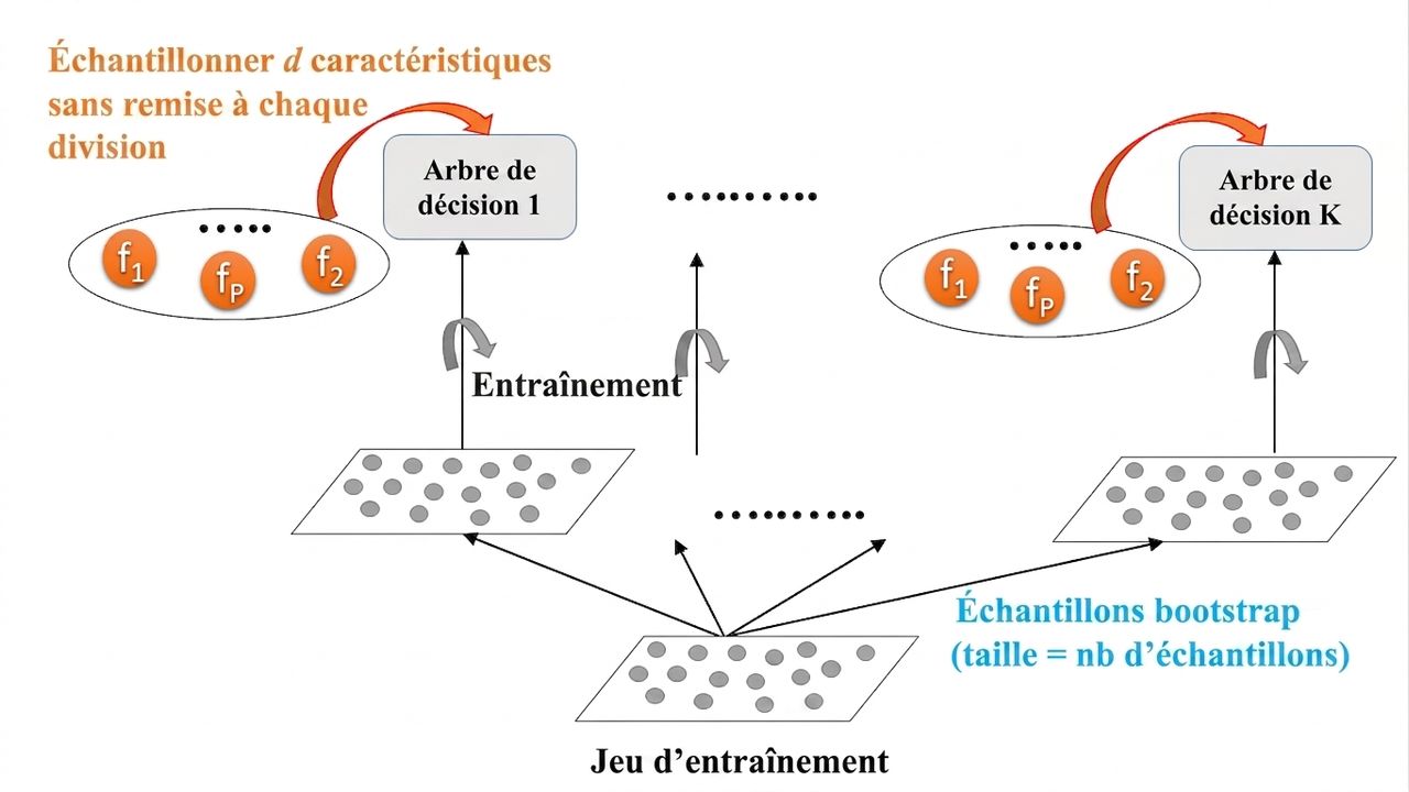 Entraînement d'une RF