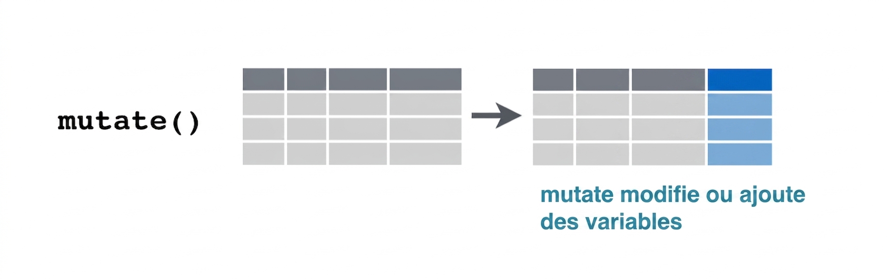 verbe mutate
