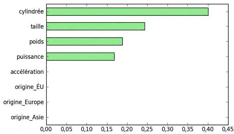 Importance des caractéristiques – RF