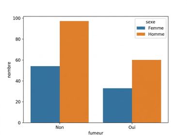Diagramme à barres des statuts fumeur, sous-groupes homme vs femme