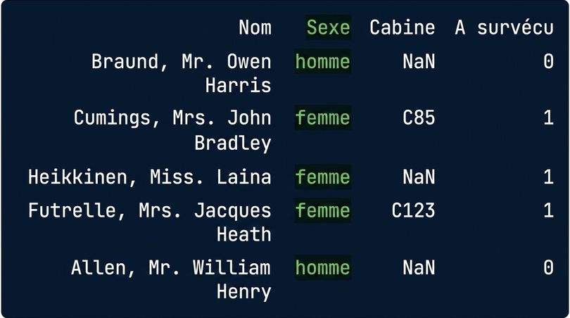 titanic.csv with a column highlighted