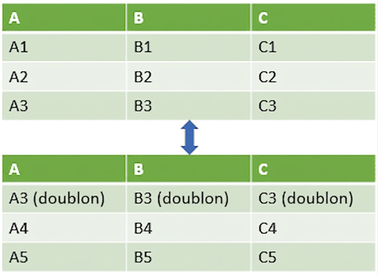 Deux DataFrames assemblés verticalement avec une ligne en double dans le deuxième DataFrame