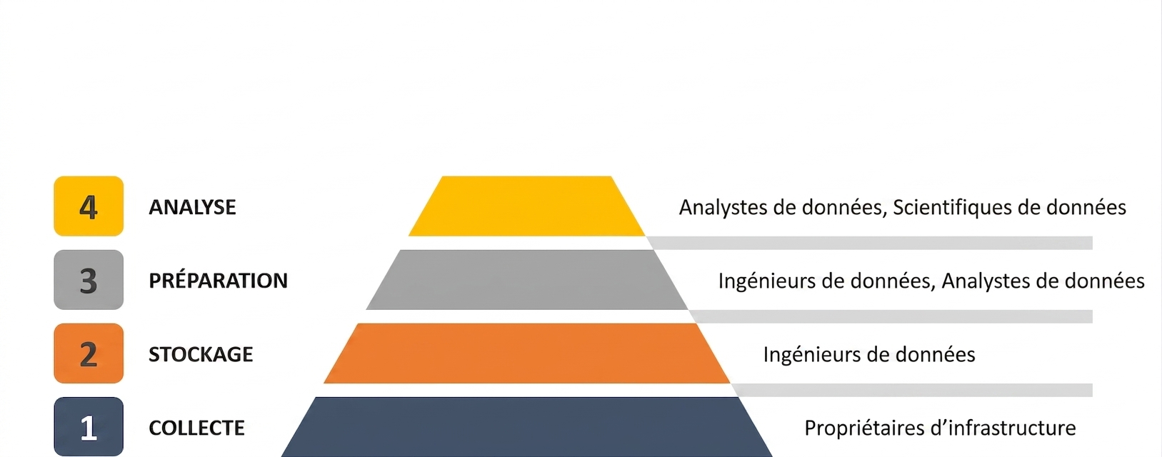data-scientist