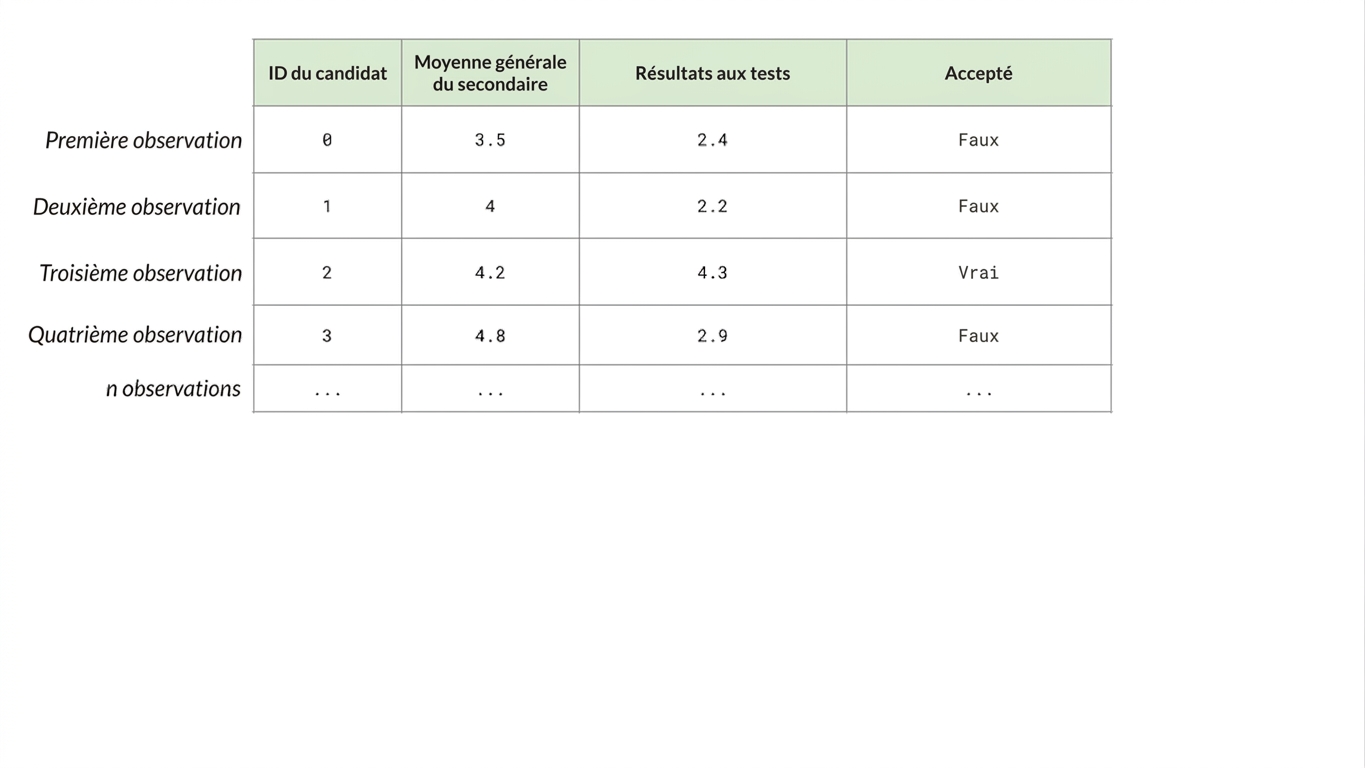 observations d'établissements collégiaux