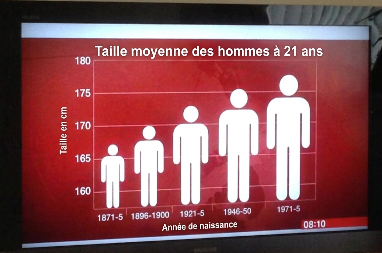 Diagramme à barres de la taille moyenne des hommes avec brouillage visuel