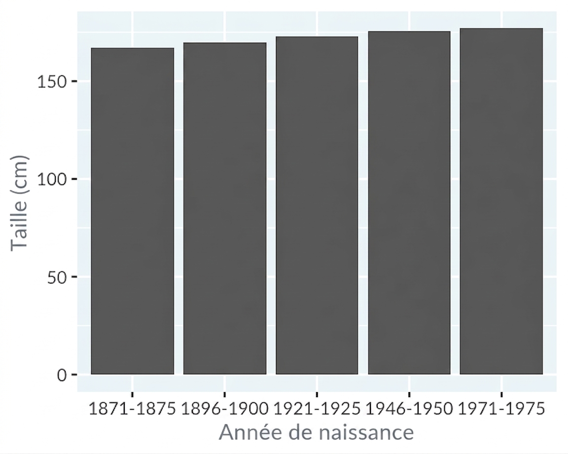 Diagramme à barres de la taille moyenne des hommes sans brouillage visuel