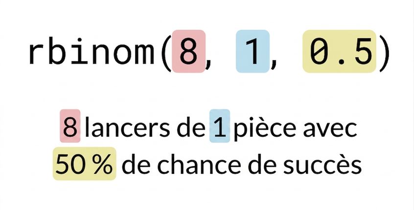 rbinom(8, 1, 0.5) avec 8 en rouge, 1 en bleu, 0,5 en jaune. Texte : 8 (en rouge) lancers de 1 (en bleu) pièce avec 50 % (en jaune) de succès
