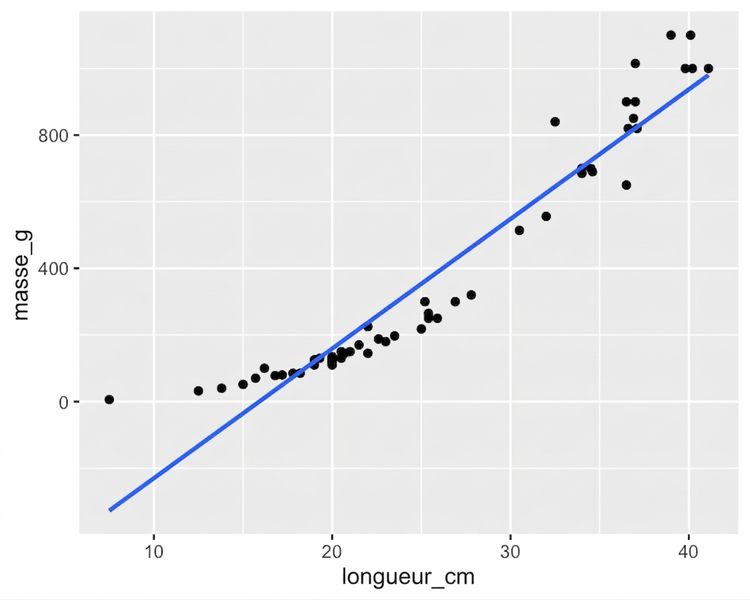 Le nuage de points des masses de perches selon leur longueur, avec une droite de tendance, déjà présenté.