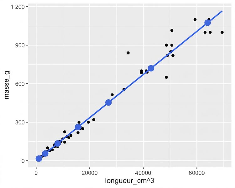 Nuage de points des masses de perches selon la longueur au cube, avec une tendance, annoté par des points calculés avec predict(). Les points suivent exactement la tendance.