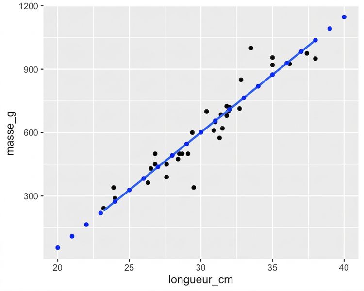 Le nuage de points des masses de brèmes selon leur longueur, avec une droite de tendance linéaire. Le graphique est annoté avec les points calculés avec predict(). Ces points suivent exactement la droite.