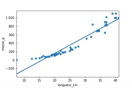 Nuage de points des masses de perches selon leur longueur, avec ligne de tendance. Le poids augmente plus vite que linéairement, formant une courbe vers le haut.