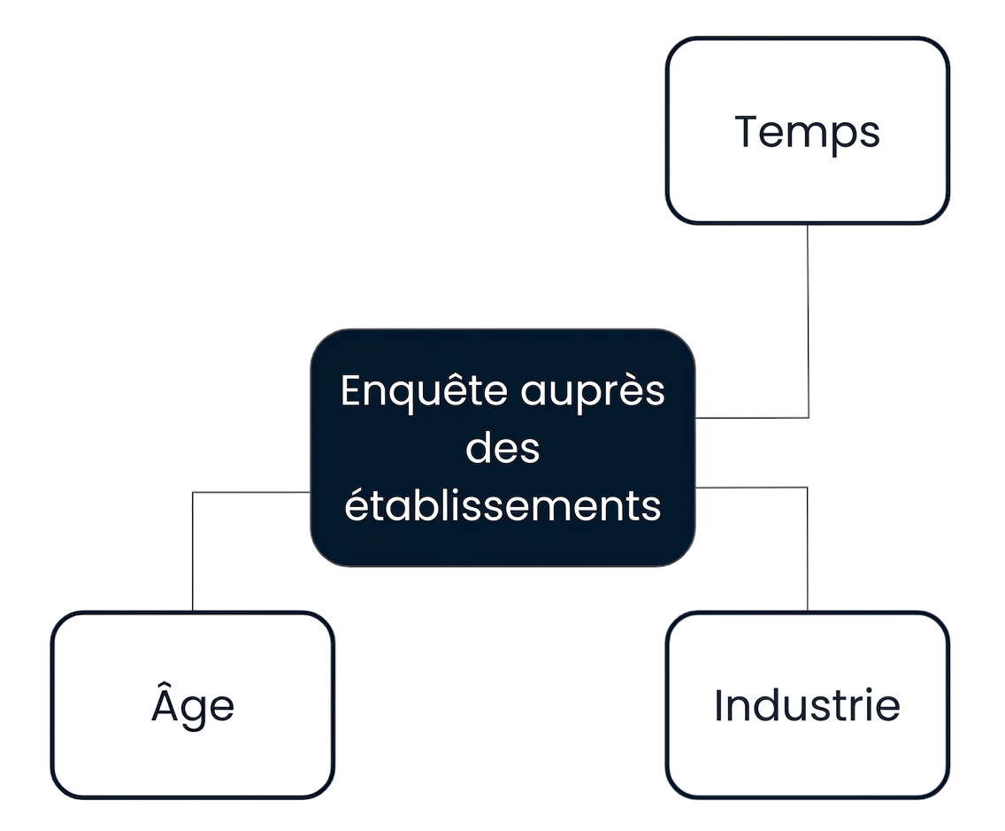 Diagramme d'un schéma en étoile avec une table de faits Establishment Survey entourée des dimensions Age, Industry et Time