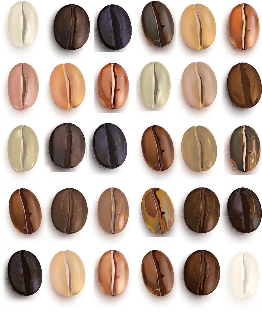 Grains de café en rangées et colonnes, dont la plupart sont grisés.