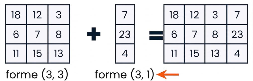 Un tableau 3 × 3 et un tableau 3 × 1, compatibles en forme et en dimension