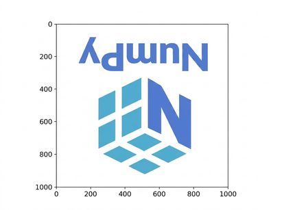 Logo NumPy avec les premier et deuxième axes inversés, mais pas le troisième ; les couleurs restent comme l'original