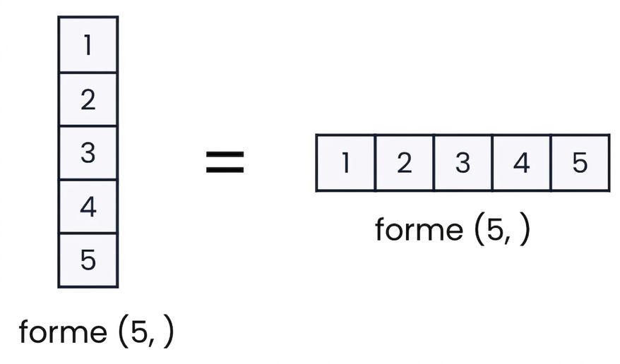 Graphique montrant que les tableaux 1D ne peuvent pas être verticaux ou horizontaux dans NumPy