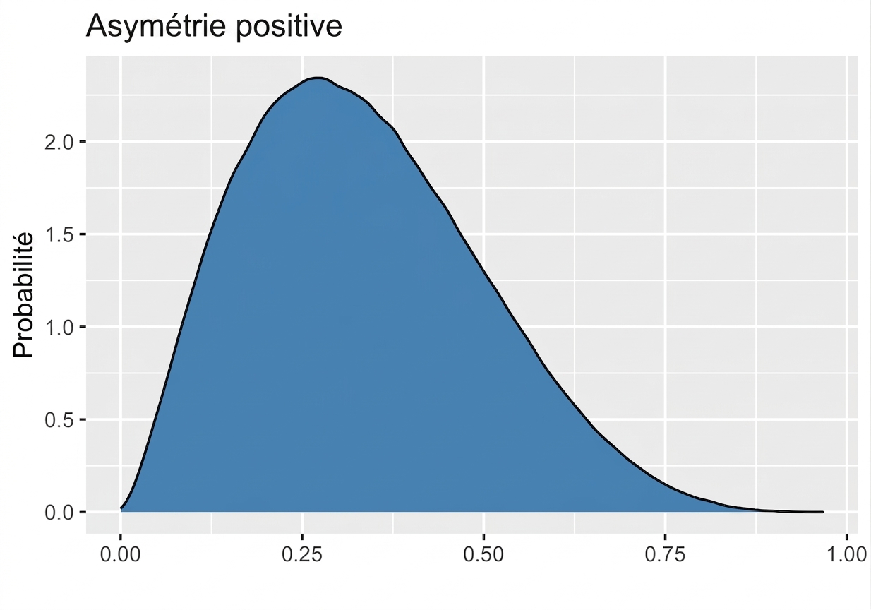 distribution_asymétrique_positive.png