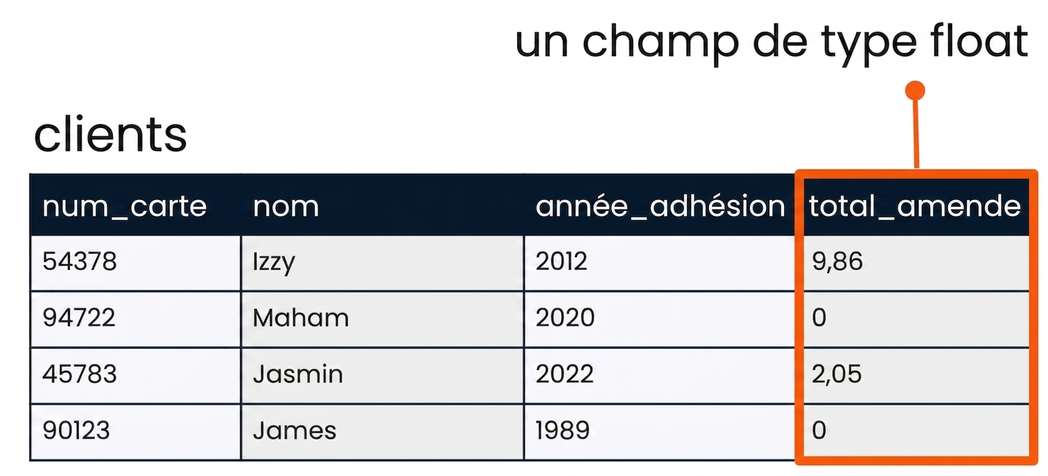 la table patrons avec le champ total_fine en surbrillance comme exemple de champ flottant