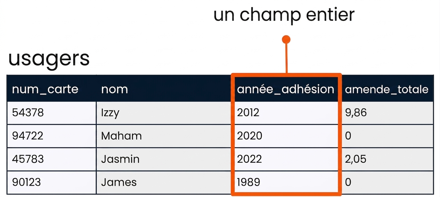 la table patrons avec le champ member_year en surbrillance comme exemple de champ entier