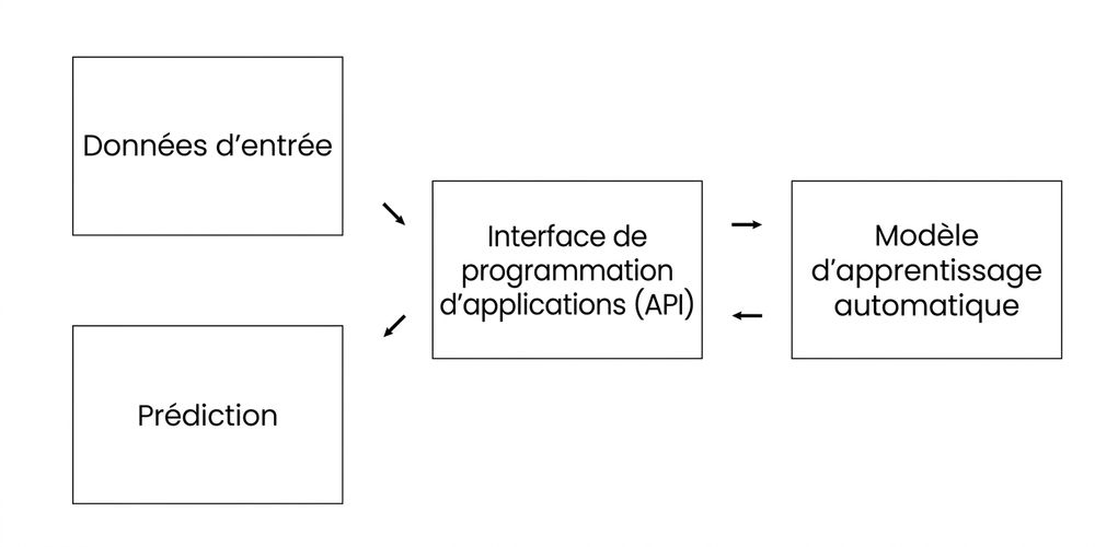 Application programming interface excluding information