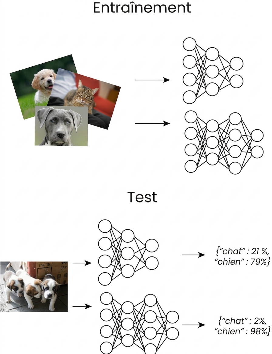 entraînement et test de modèles de Machine Learning