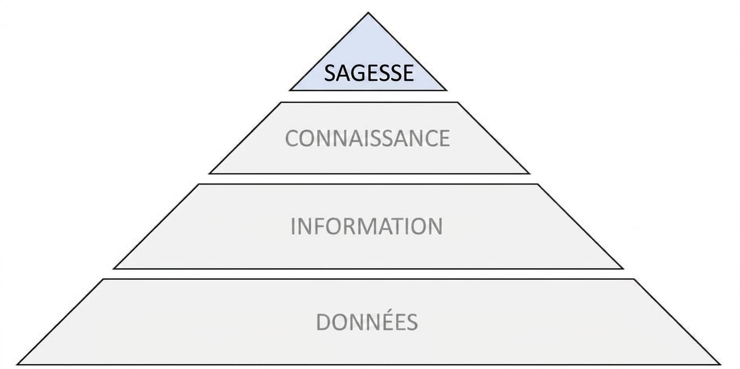 schéma de la pyramide DIKW avec l'étape sagesse en surbrillance