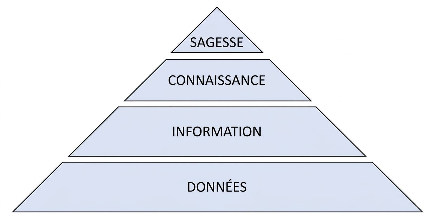 schéma de la pyramide DIKW