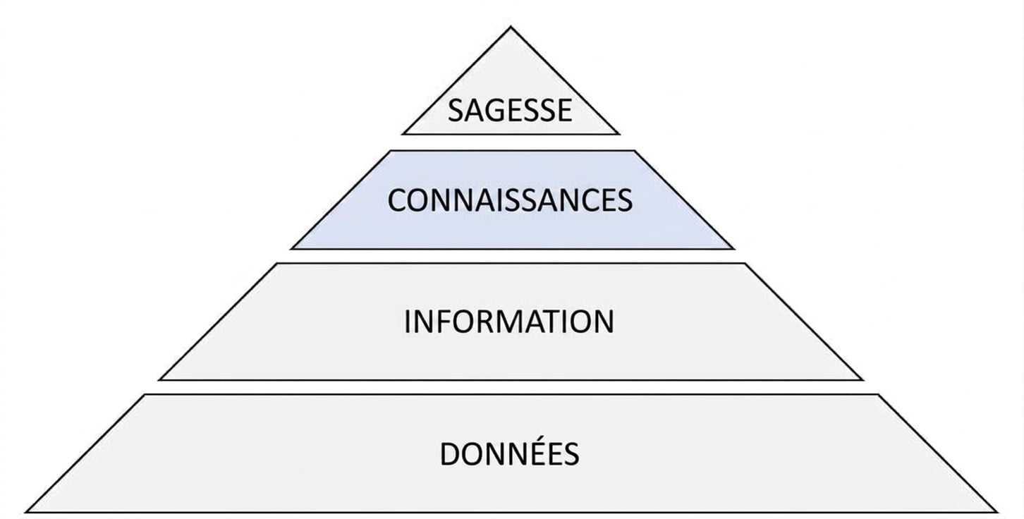 schéma de la pyramide DIKW avec l'étape connaissance en surbrillance