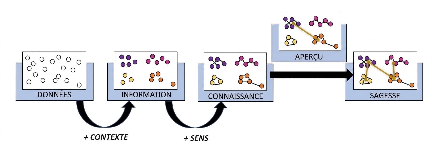 organigramme du processus DIKW avec l'étape constat ajoutée