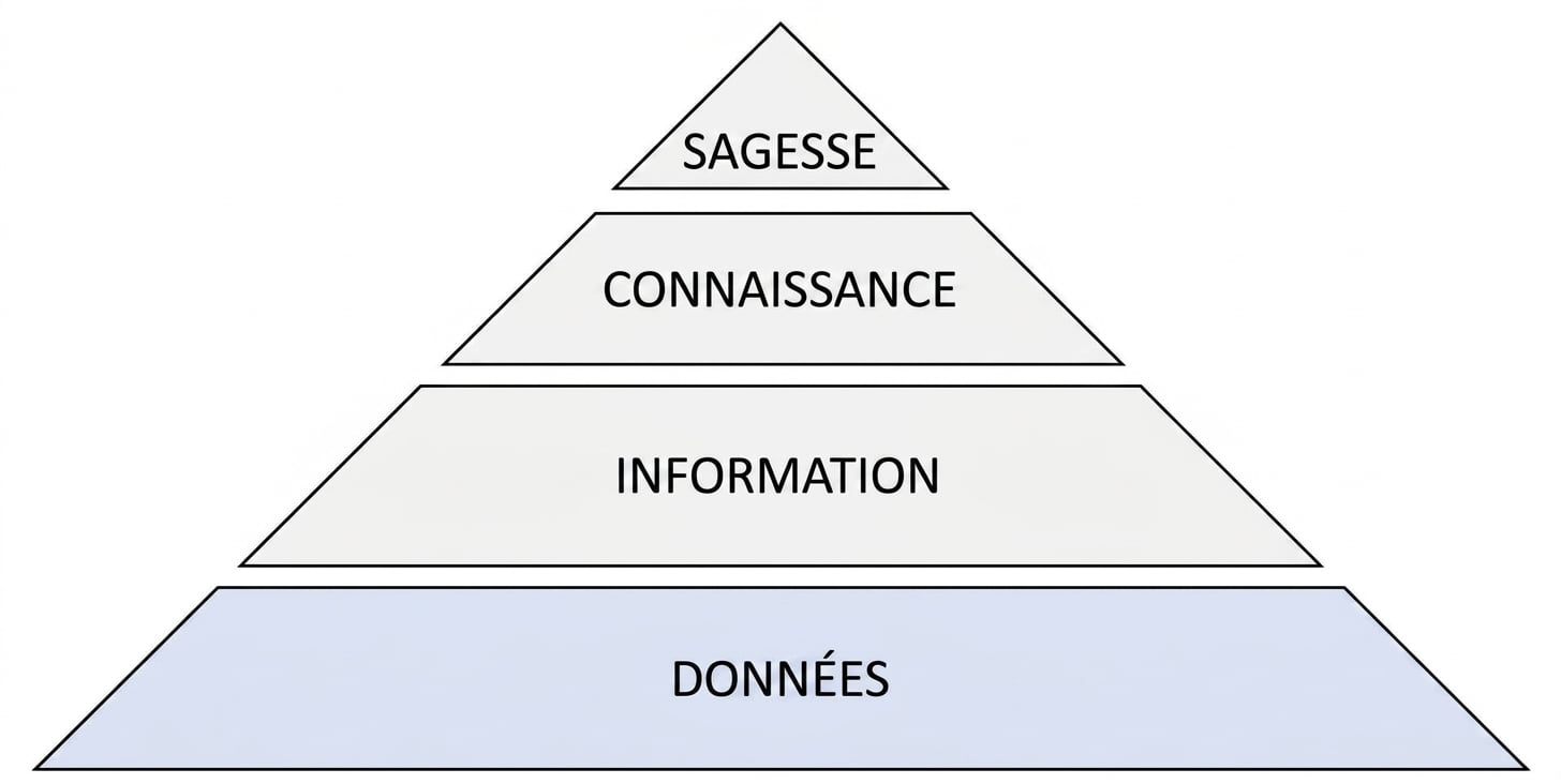 schéma de la pyramide DIKW avec l'étape données en surbrillance