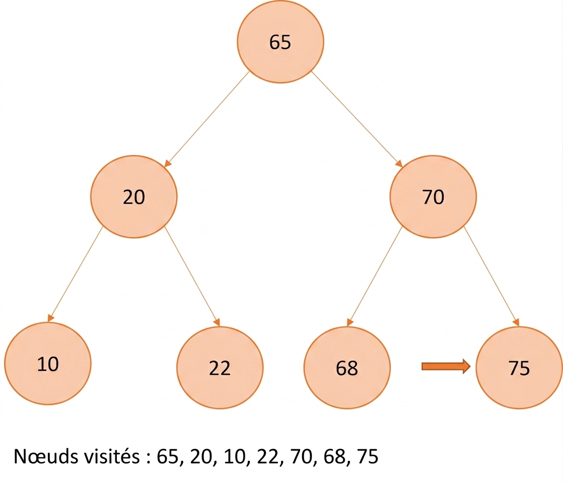 Représentation graphique d'un parcours préfixe sur un arbre binaire de recherche.