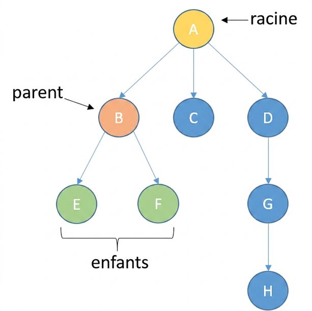 Image d'un arbre avec des nœuds. Le nœud racine est en jaune. Un nœud parent est en orange et ses enfants sont en vert.