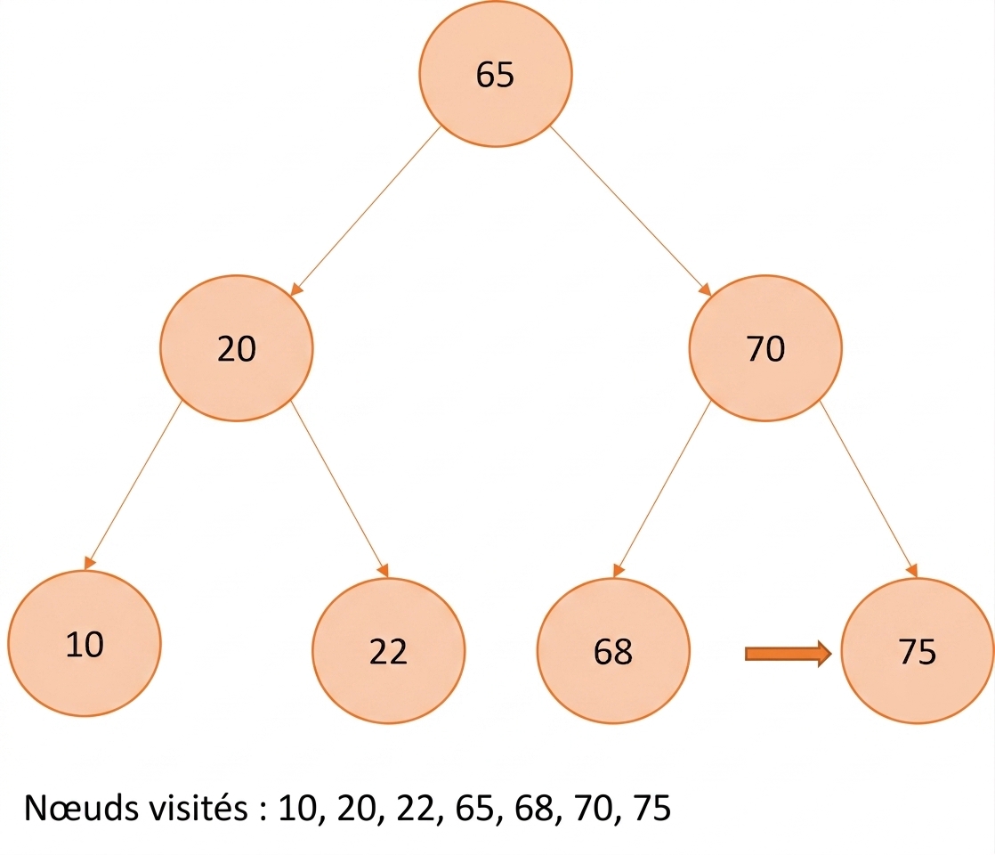 Représentation graphique d'un parcours infixe sur un arbre binaire de recherche.