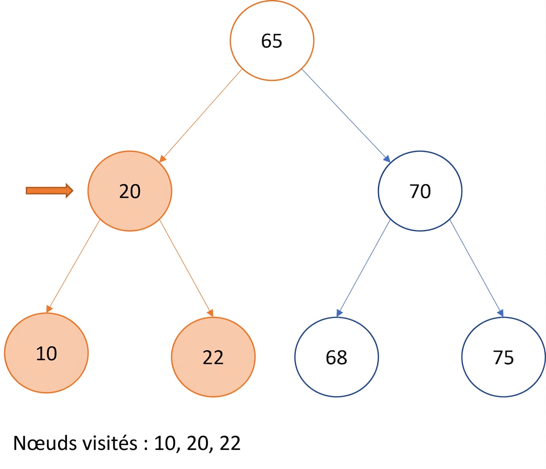 Représentation graphique d'un parcours infixe sur un arbre binaire de recherche.